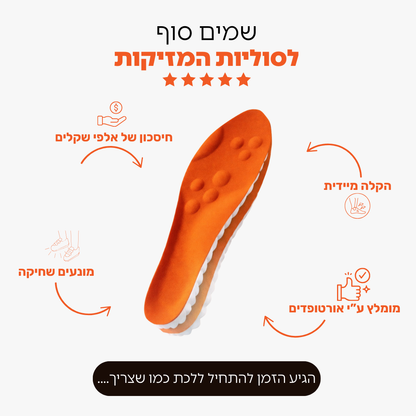 מדרסי הפלא