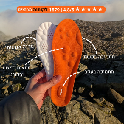 מדרסי הפלא